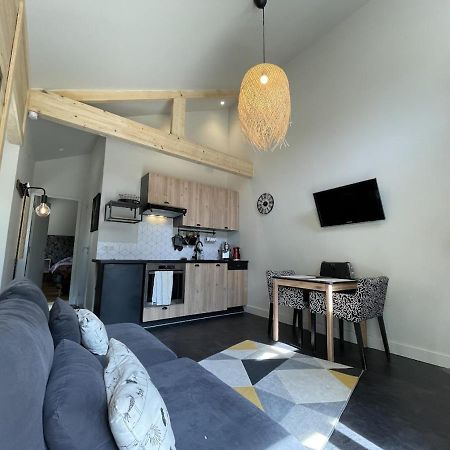 Ginkobiloba : Appartement Cosy En Coeur De Ville Bagnères-de-Bigorre Exterior foto